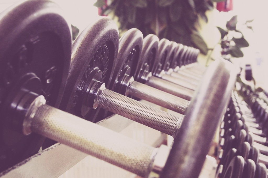 Guide How to use Free Weights Effectively MuslceArmory