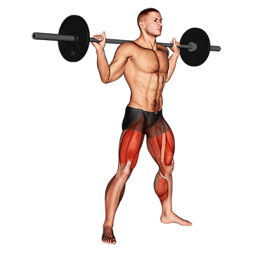 gif illustration of a male doing sumo squats which is a variation of the squat